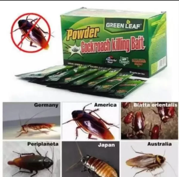 Green Leaf Cockroach Killing Bait Powder - Image 7